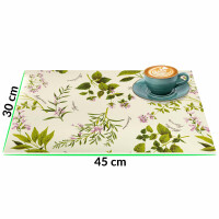 Tischsets Platzsets PVC Platzdeckchen abwaschbar Tischuntersetzer Botanica 30x45cm